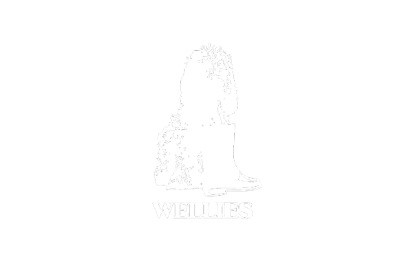 SCA-HERO-LOGOS-CLIENTE_WELLIES
